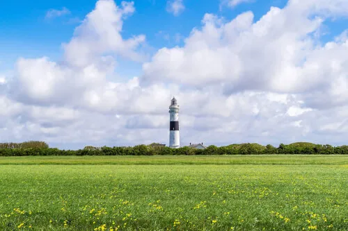 Ein Leuchtturm steht in einem Feld auf Sylt, Deutschland - umgeben von Natur